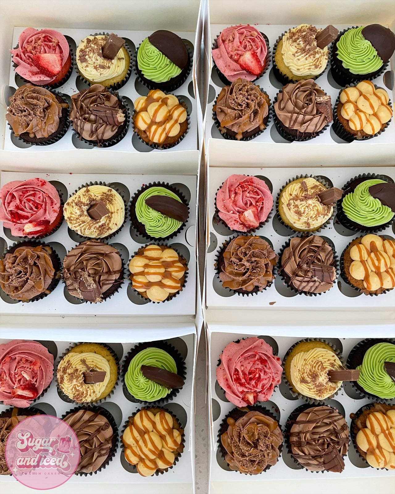 Mixed Cupcake Boxes (sept 6th)