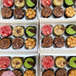 Mixed Cupcake Boxes (sept 6th)